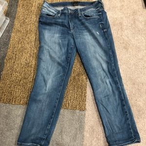 Genetic Denim The Liam Crop